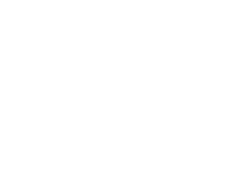 logo bride white